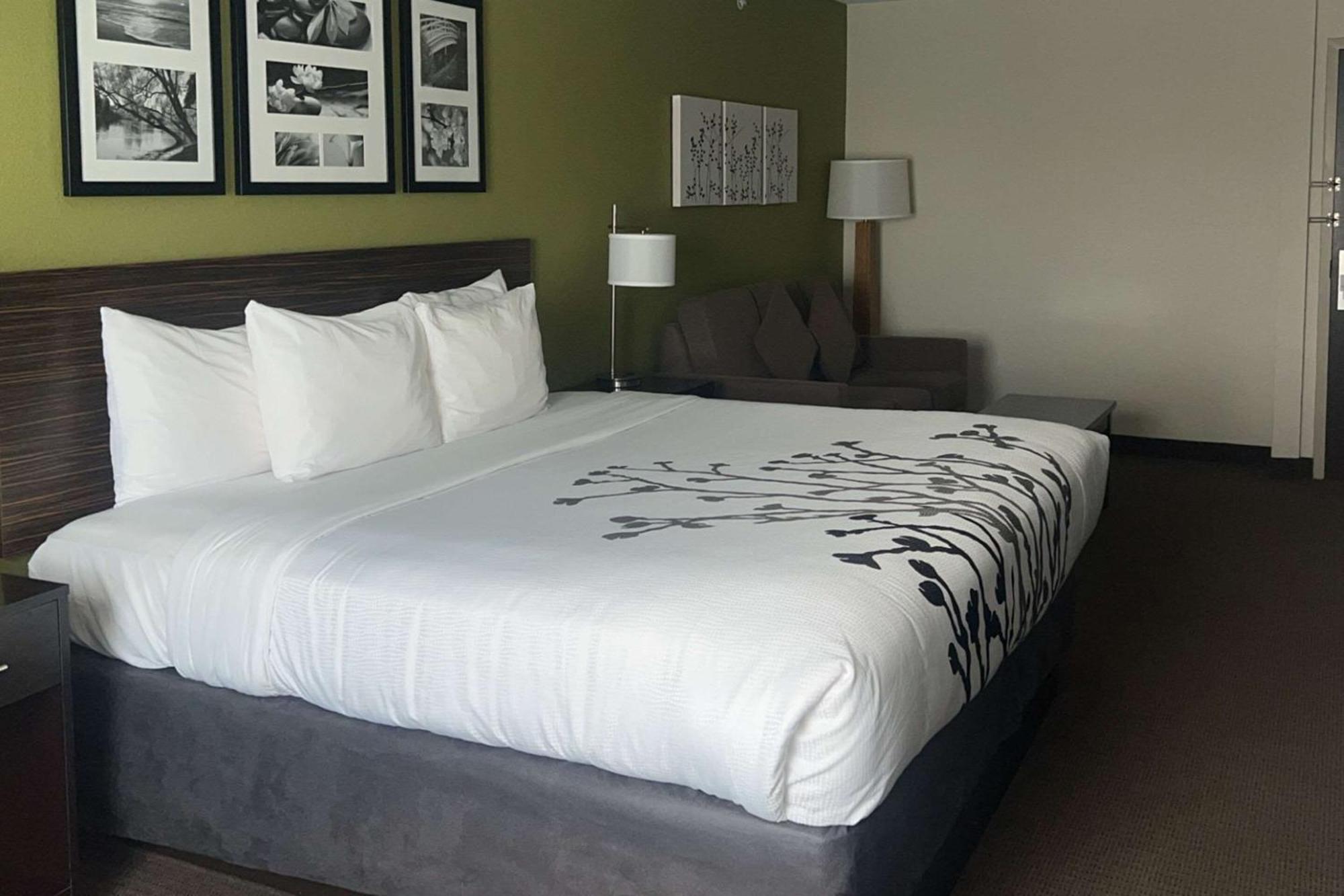 Sleep Inn & Suites Jourdanton - Pleasanton Kültér fotó